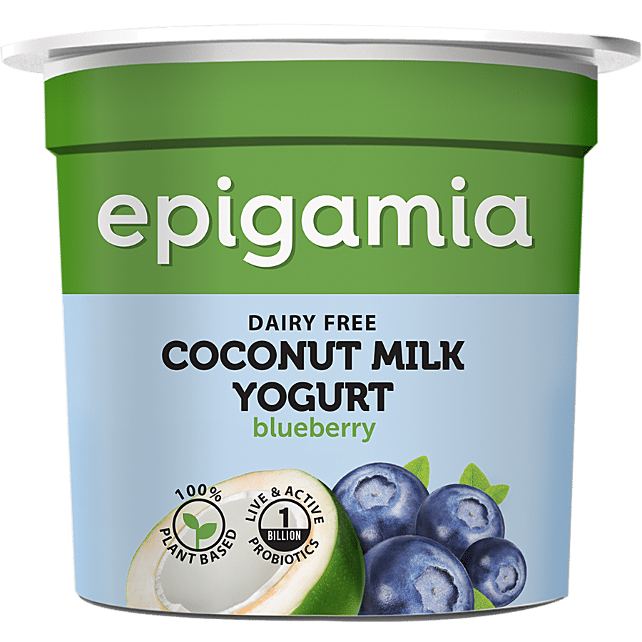 Epigamia  Coconut Milk Yogurt - Blueberry