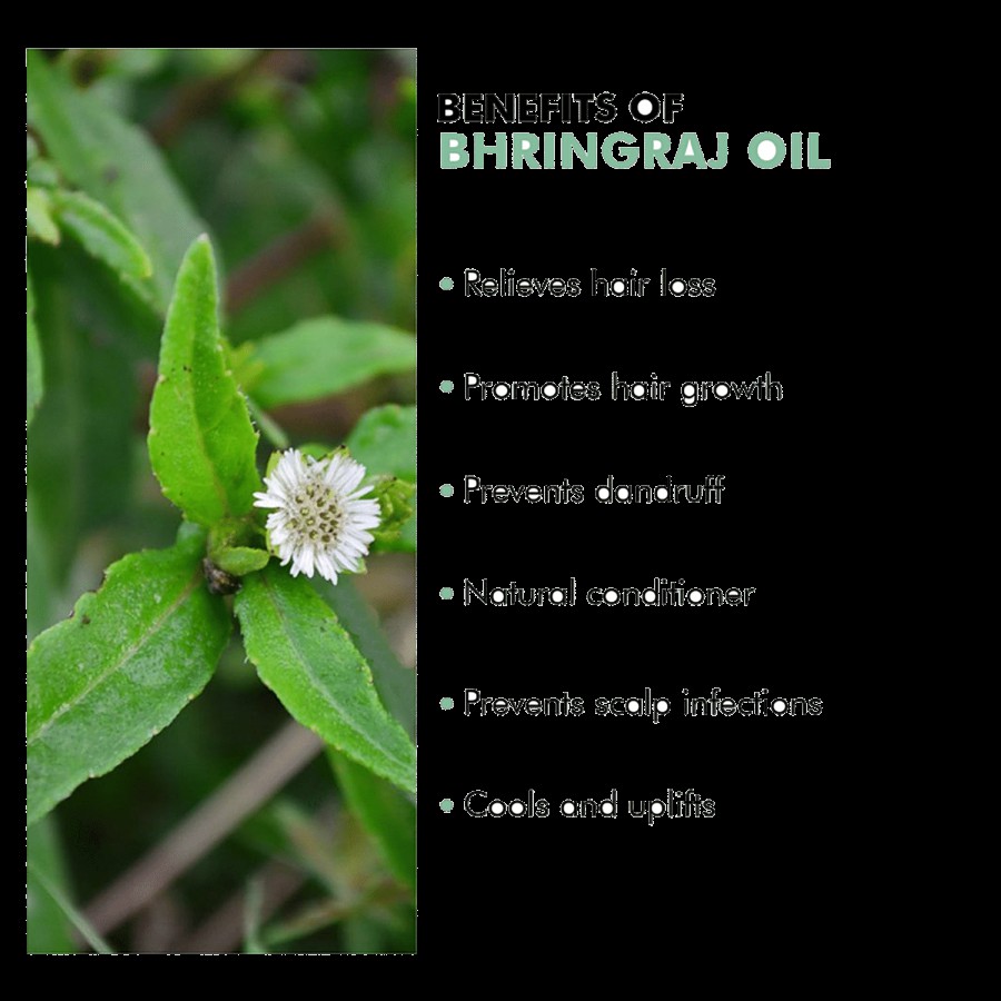 Inatur Bhringraj Oil - Controls Hair Fall