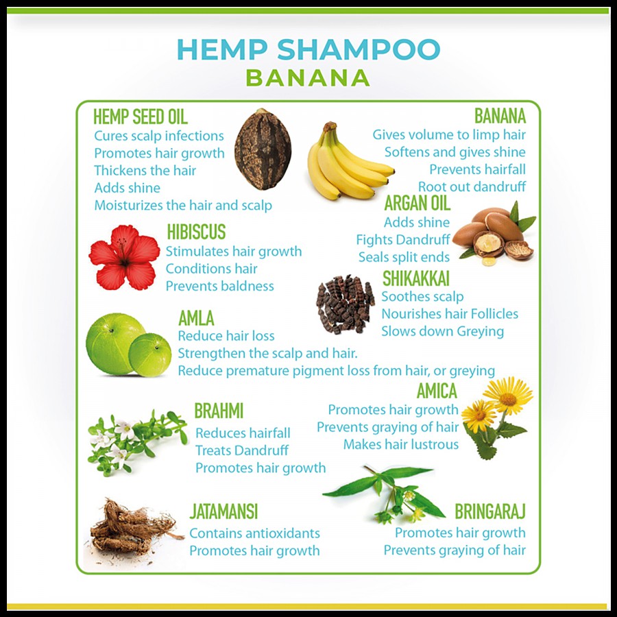 Cure By Design Hemp & Banana Shampoo - Revitalize Hair Growth