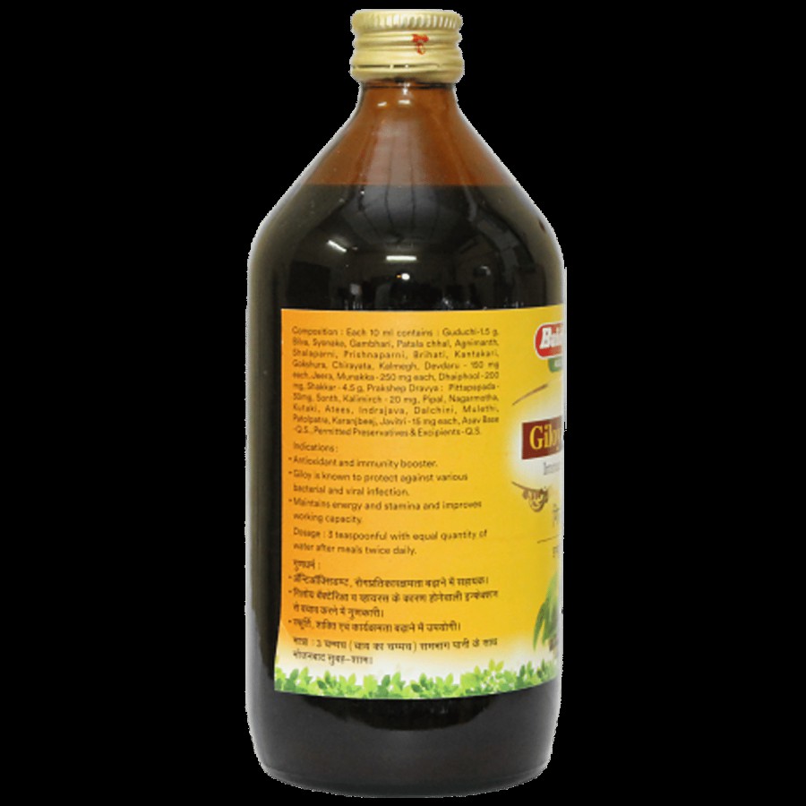 Baidyanath Nagpur Giloy Amrit - Immunity Booster