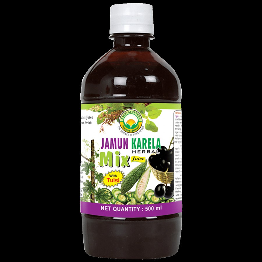 Basic Ayurveda Jamun Karela Herbal Mix - Organic