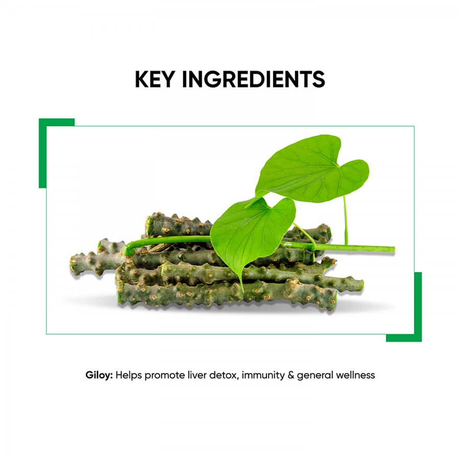 Dr.Vaidya's Giloy Ras - Helps Boosts Immunity