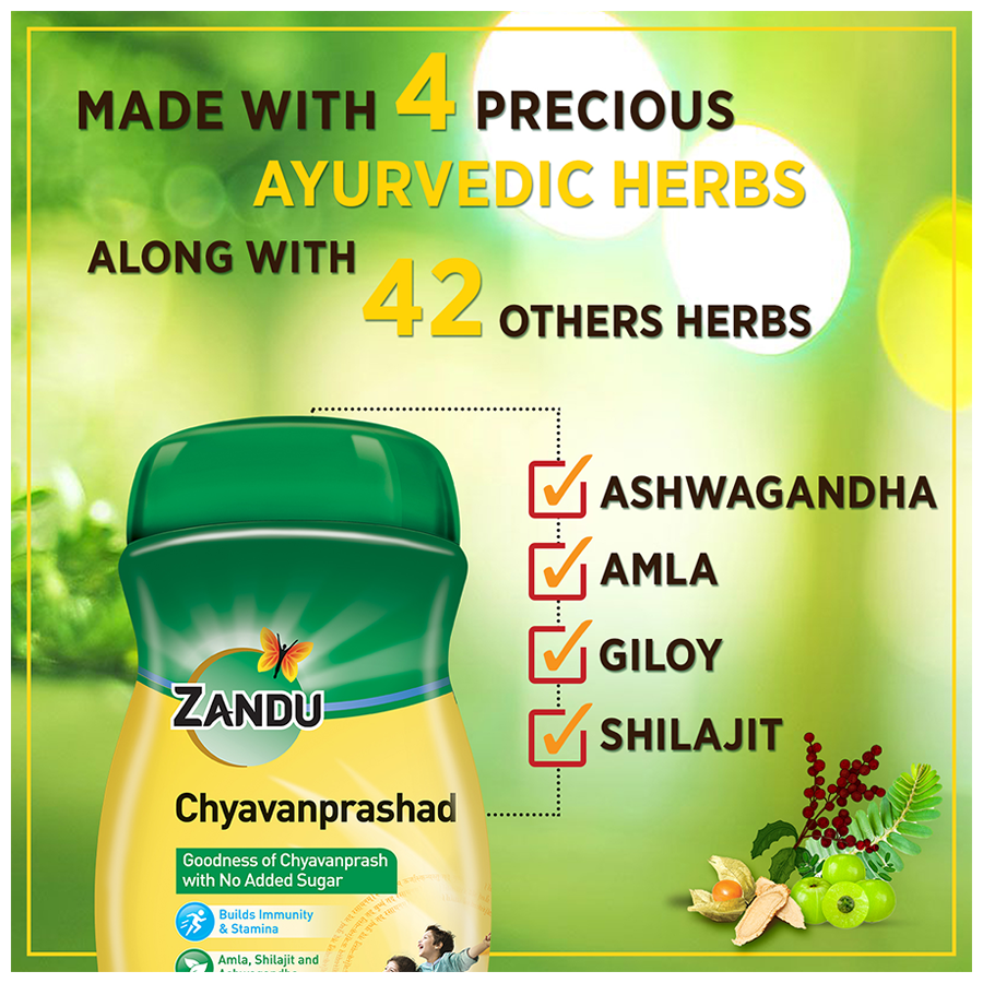 ZANDU Chyavanprashad Ayurvedic Immunity Booster - With Amla