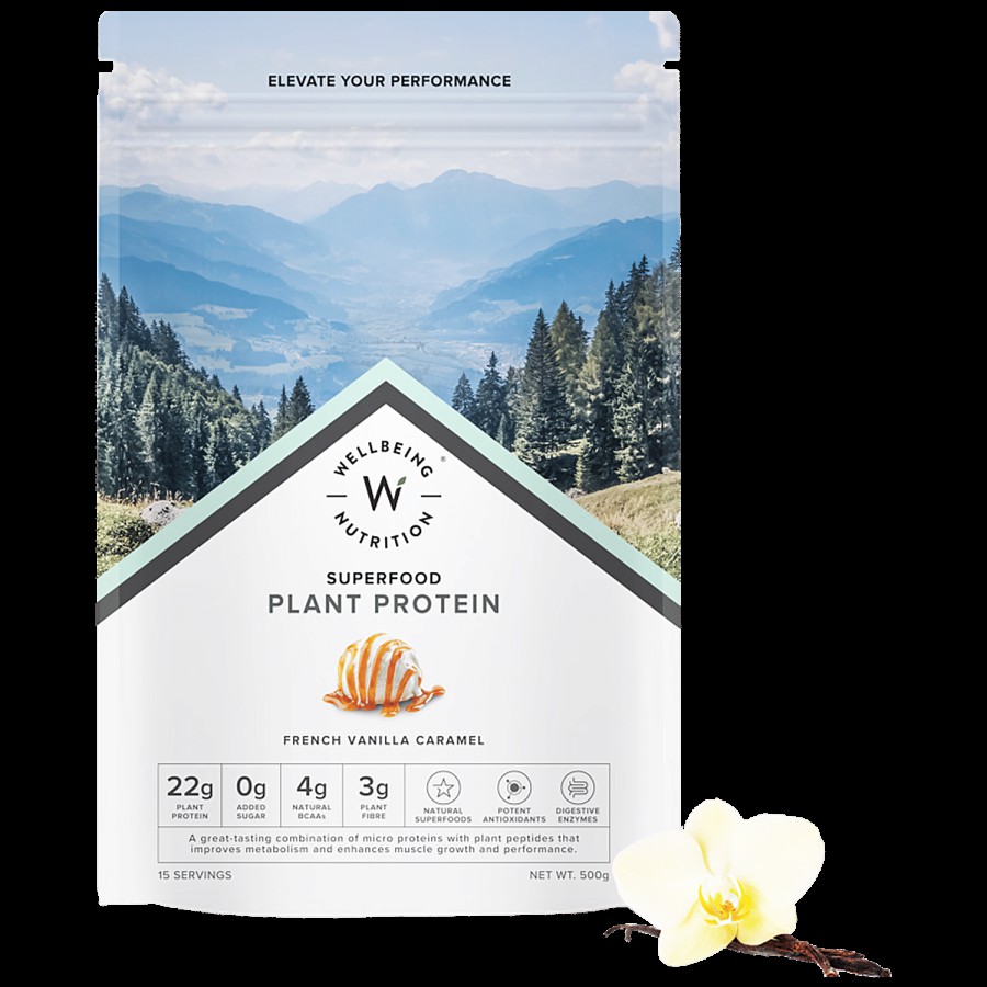 Wellbeing Nutrition Organic Vegan Plant Protein Isolate - Vanilla Caramel