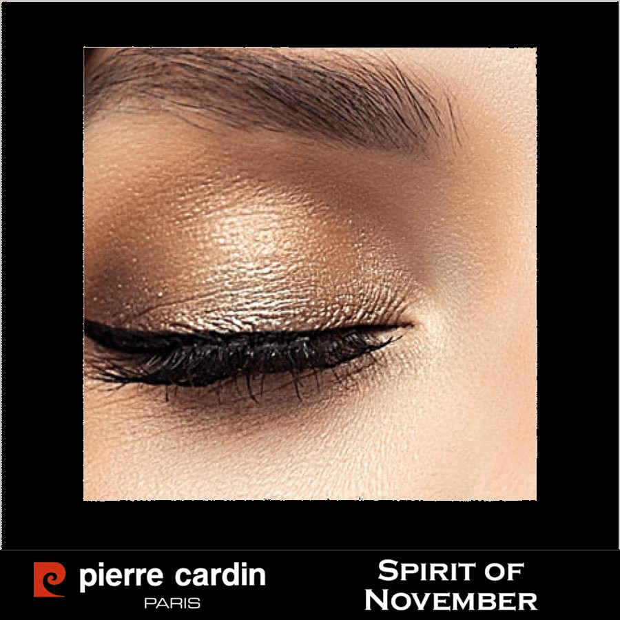 Pierre Cardin Paris Iconic Palette Eyeshadow - Highly Pigmented