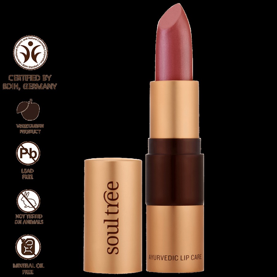 Soultree Ayurvedic Lipstick - Wild Honey 811