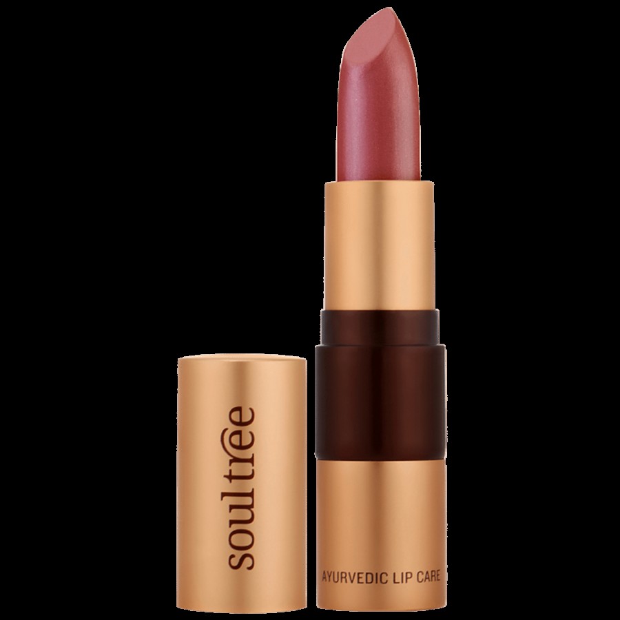 Soultree Ayurvedic Lipstick - Wild Honey 811