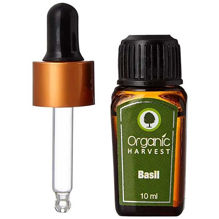 Organic Harvest Basil Oil