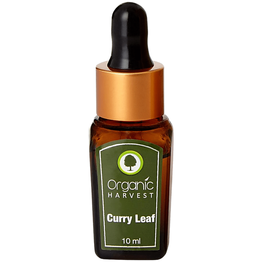 Organic Harvest Curry Leaf Essential Oil