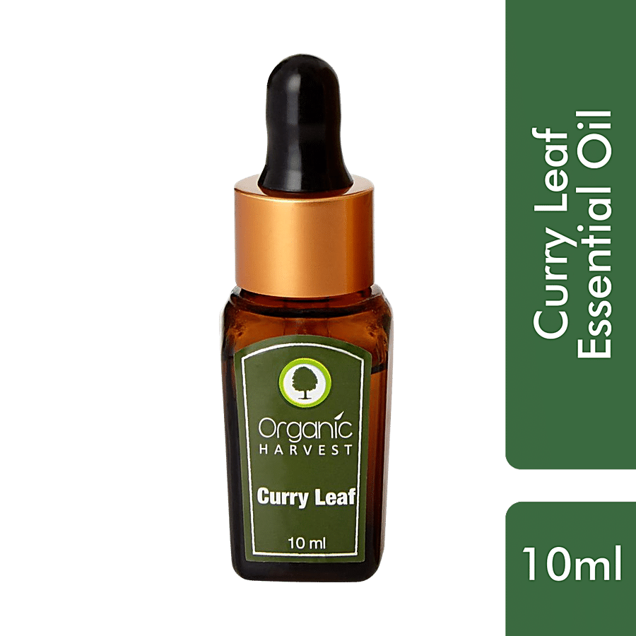 Organic Harvest Curry Leaf Essential Oil