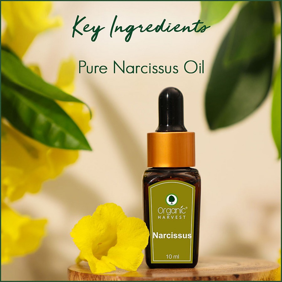 Organic Harvest Narcissus Essential Oil