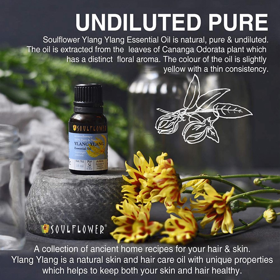 Soulflower Ylang Ylang Essential Oil