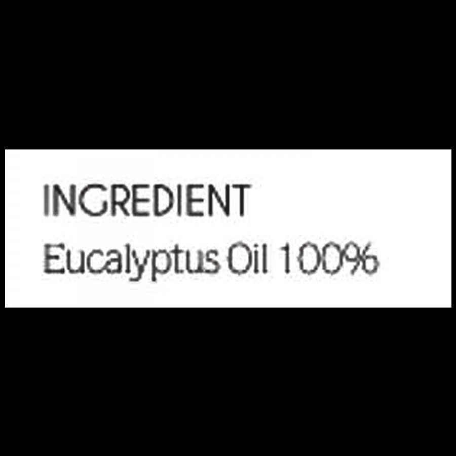 Anveya Eucalyptus Essential Oil - Natural & Pure