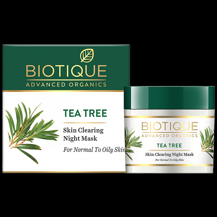 BIOTIQUE Tea Tree Skin Clearing Night Mask