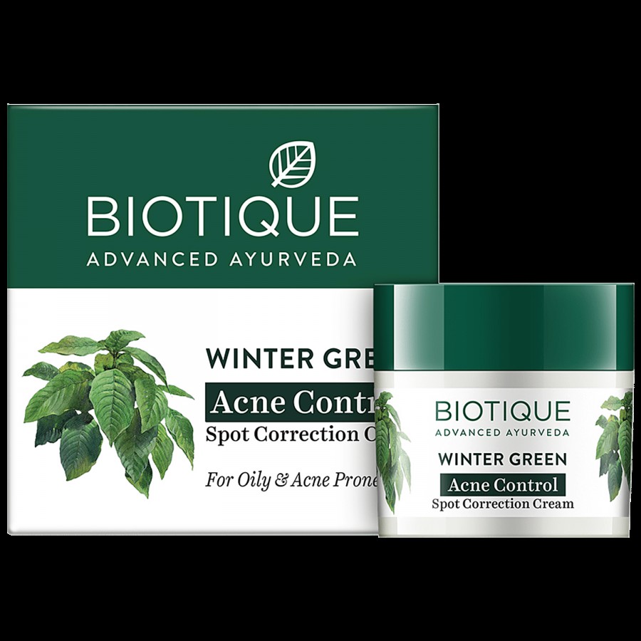 BIOTIQUE Winter Green Acne Control Spot Correction Cream