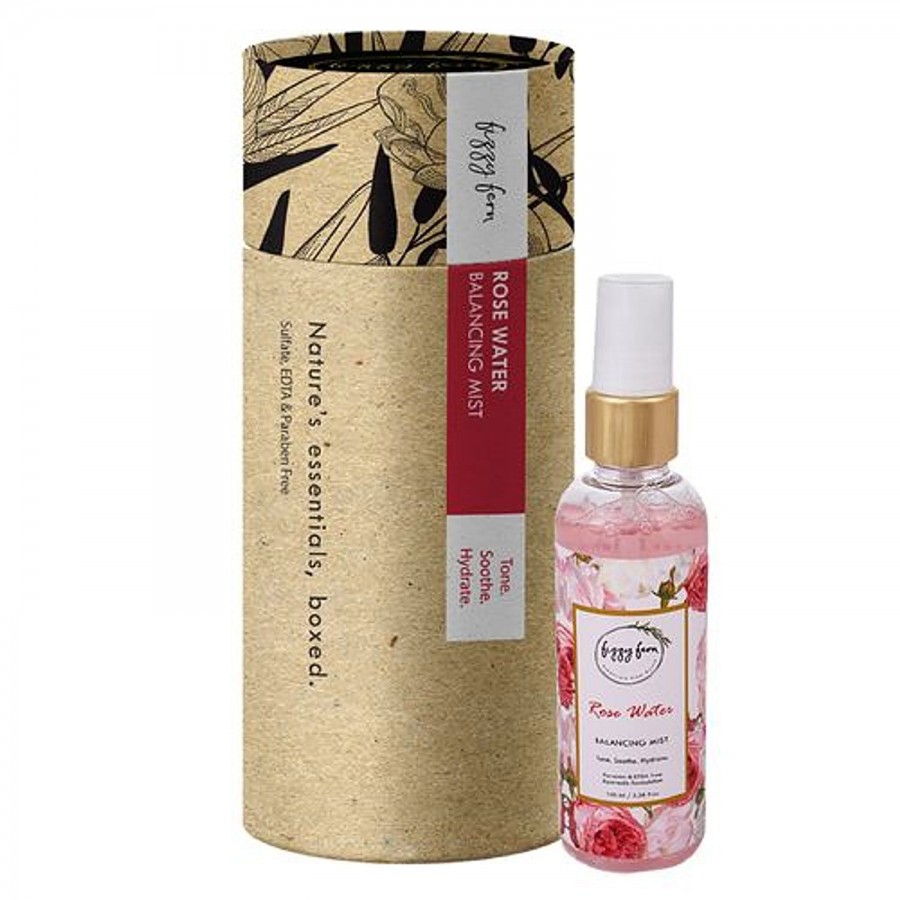 Fizzy Fern Balancing Mist Spray - Rose Water