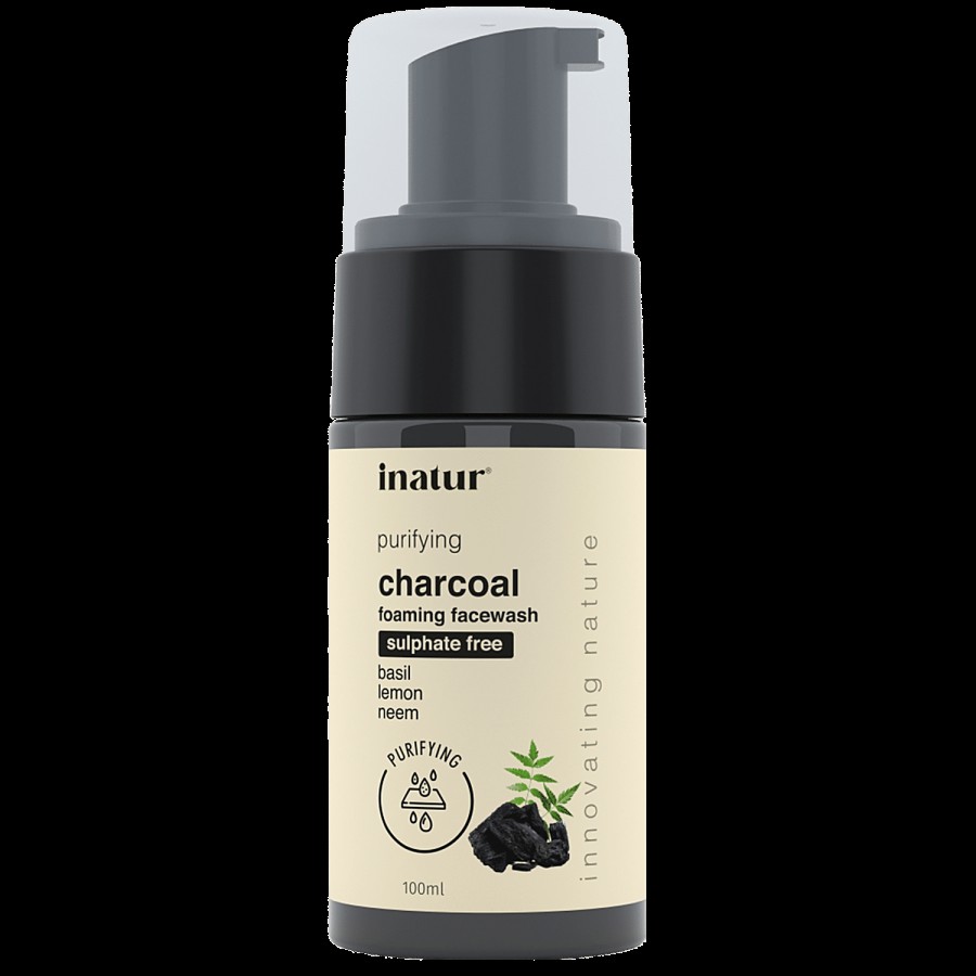 Inatur Purifying Charcoal Foam Facewash