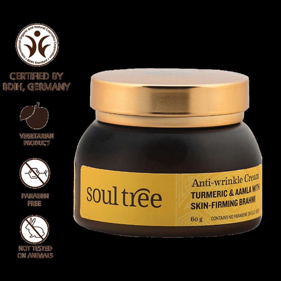 Soultree Ayurvedic Anti-Wrinkle Cream - Turmeric & AAMLA with Skin-Firming Brahmi