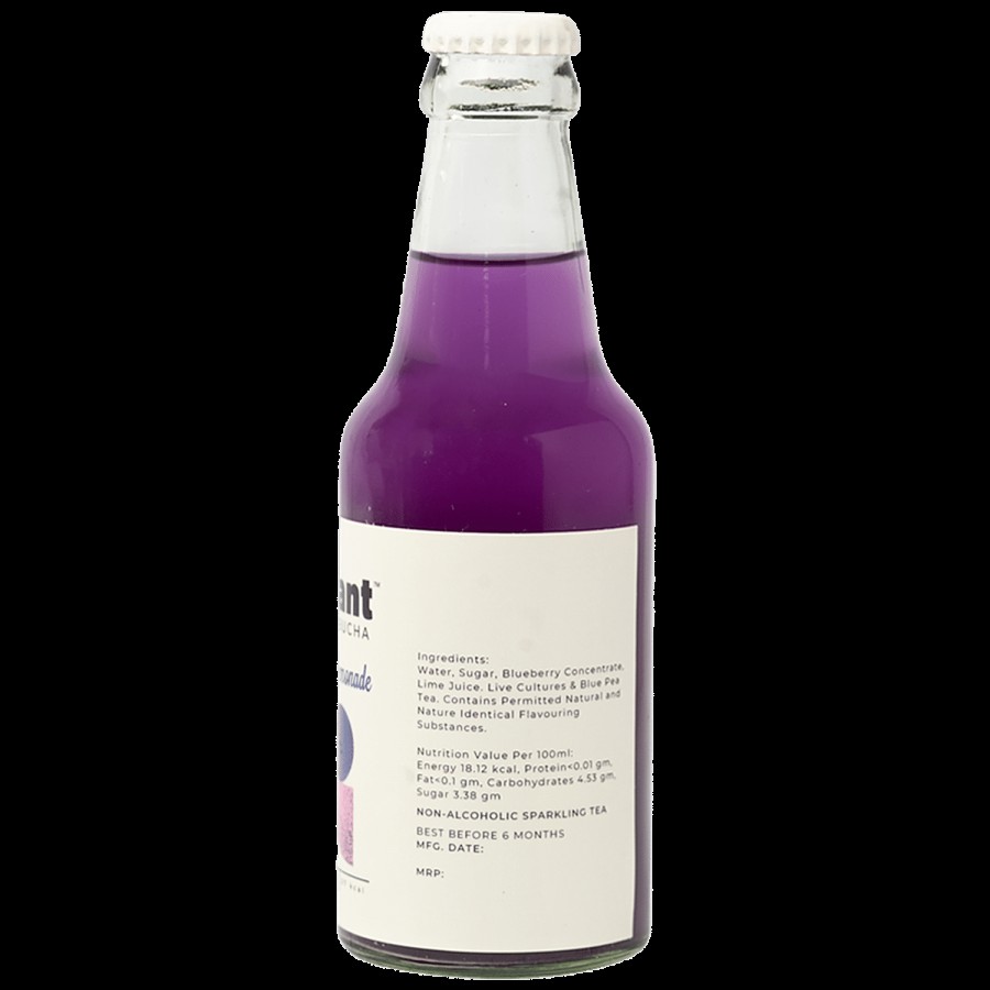 Mossant Blueberry Lemonade Kombucha - Low Sugar