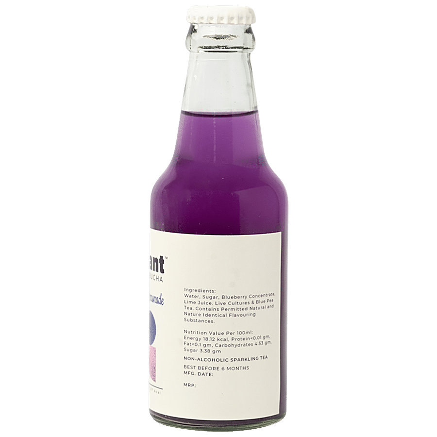 Mossant Blueberry Lemonade Kombucha - Low Sugar