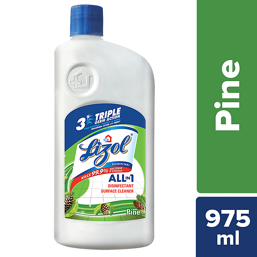 Lizol All In 1 Disinfectant Surface & Floor Cleaner - Pine