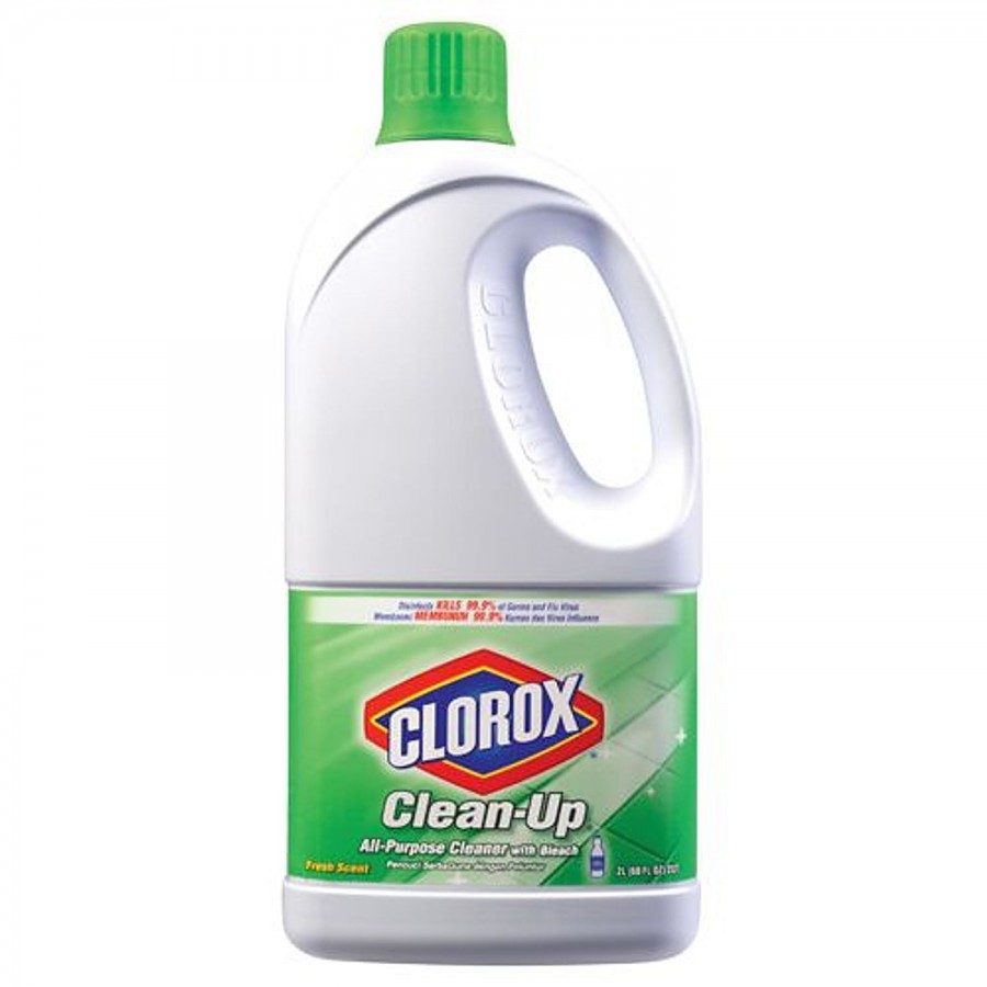 Clorox Clean-Up All Purpose Cleaner with Bleach - Fresh Scent