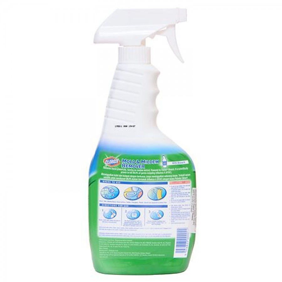 Clorox Mold & Mildew Remover