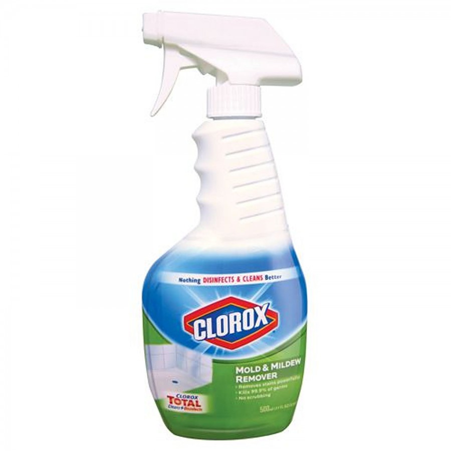 Clorox Mold & Mildew Remover