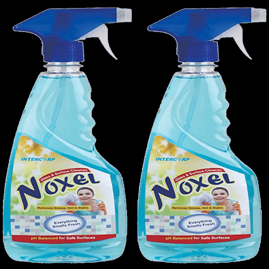 Intercorp Noxel Glass & Surface Cleaner Sprayer