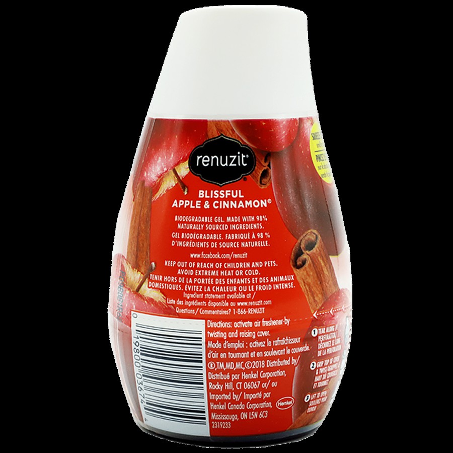 RENUZIT Soild Gel Air Freshener - Apple & Cinnamon