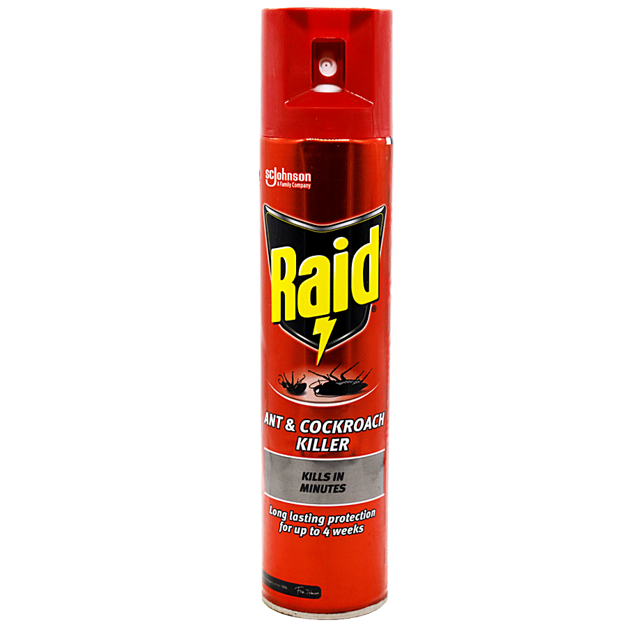 Raid Ant & Cockroach Killer Spray - Imported