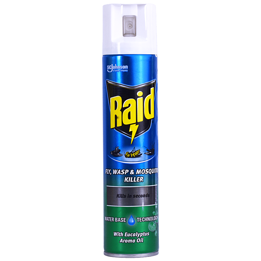 Raid Fly & Wasp & Mosquito Killer - Kills In Seconds