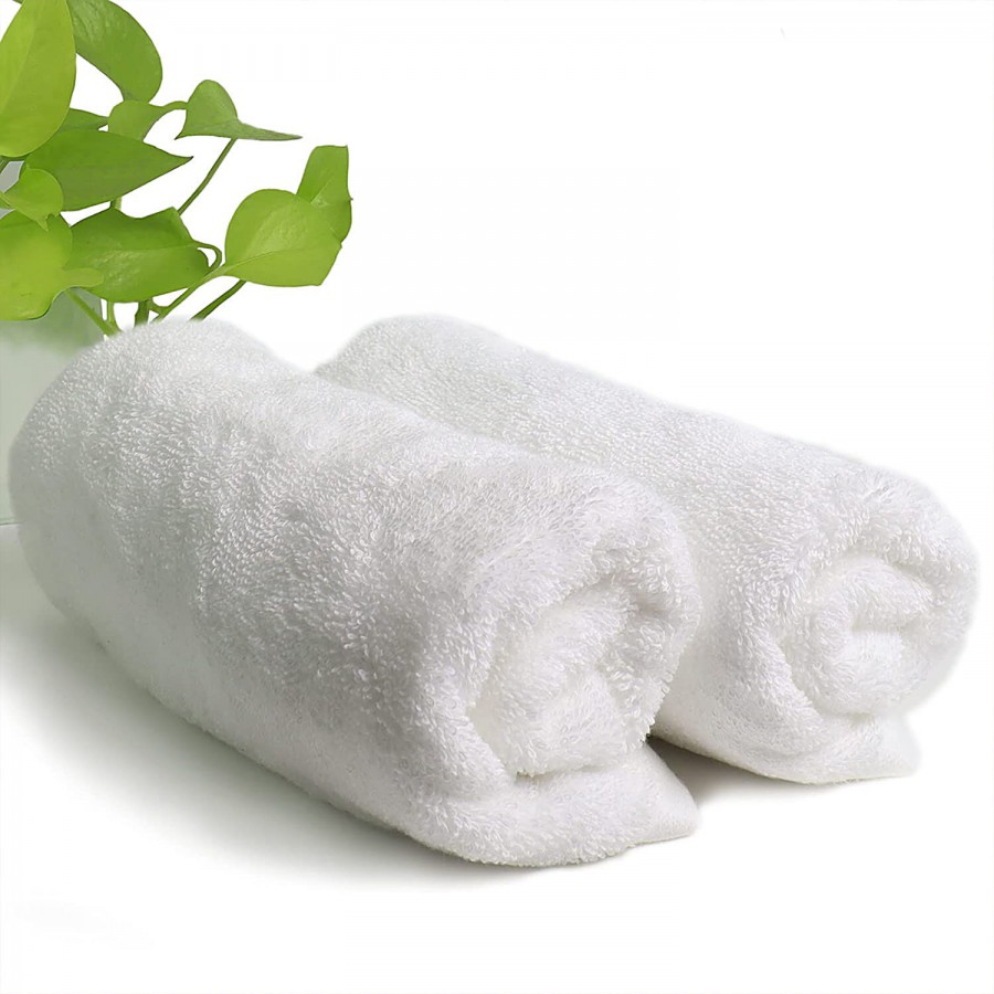 JBG Home Store Cotton Hand Towels - White