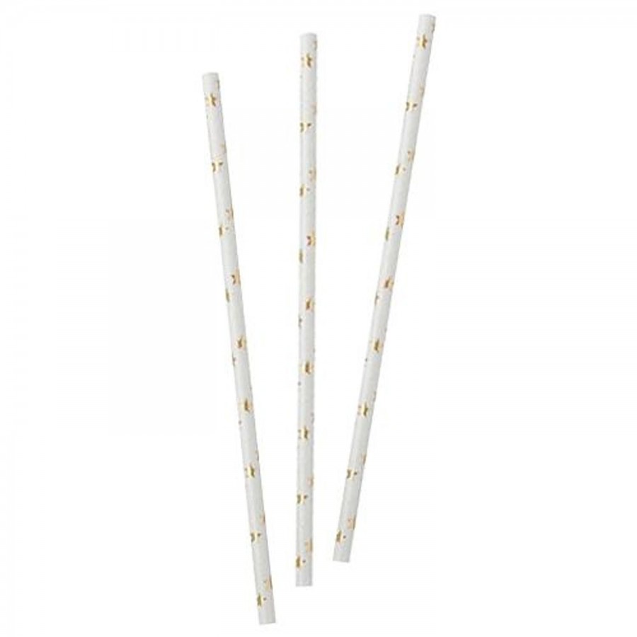 Ayurvaidic Party Paper Straws