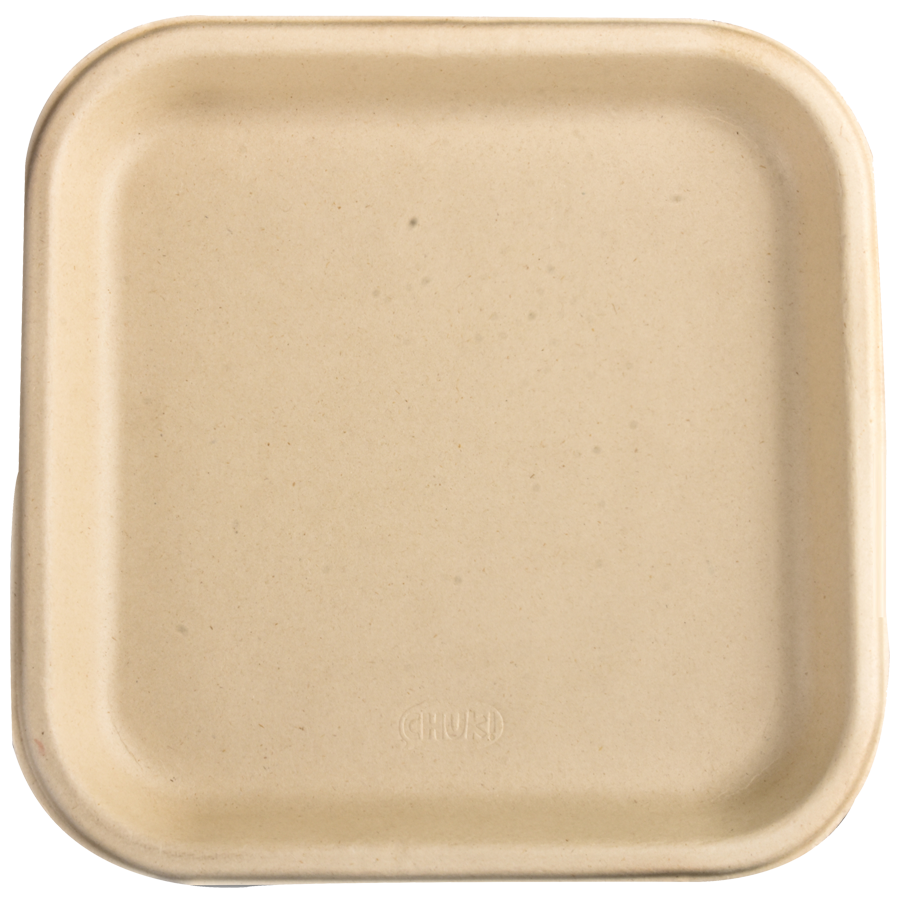 Chuk Disposable Mini Meal Plate - Square