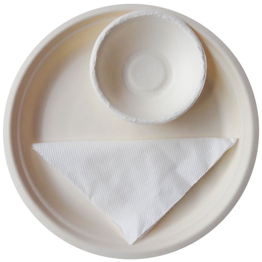 VC Biodegradable Eco Friendly Disposable Round Plate Bowl Spoon Tissue Paper Set