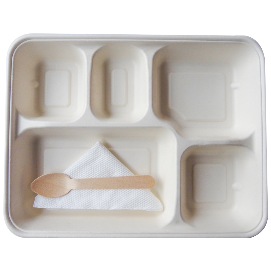 VC Biodegradable Eco Friendly Disposable Square partition Plate Spoon Tissue Paper Set