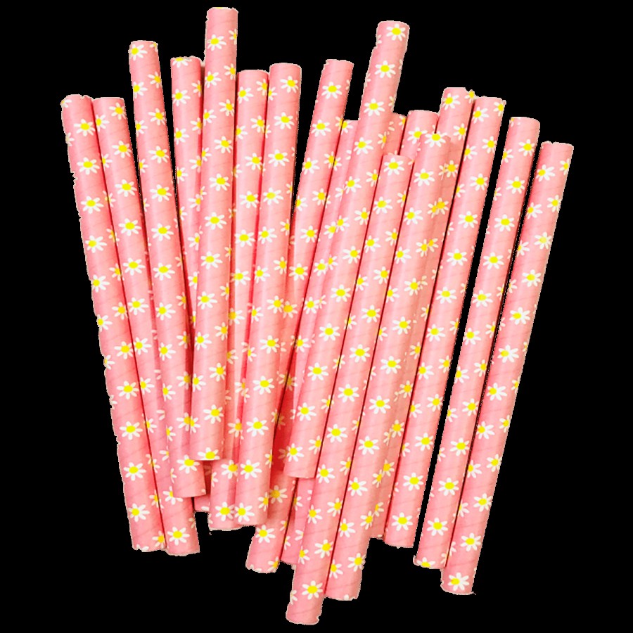 Versatile Suppliers Paper Straws - Biodegradable