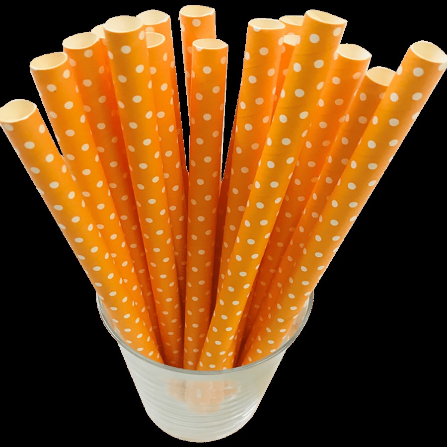 Versatile Suppliers Paper Straws - Biodegradable