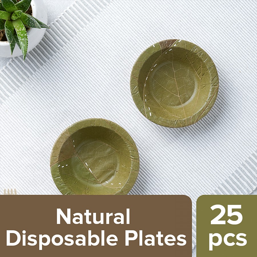 bb home Earth Natural Disposable Bowls - 10.8 cms