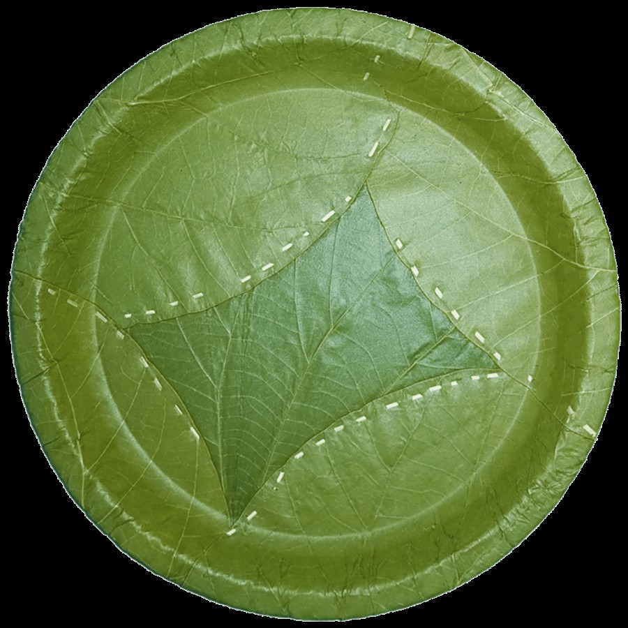 bb home Earth Natural Disposable Plates - 20.3 cms