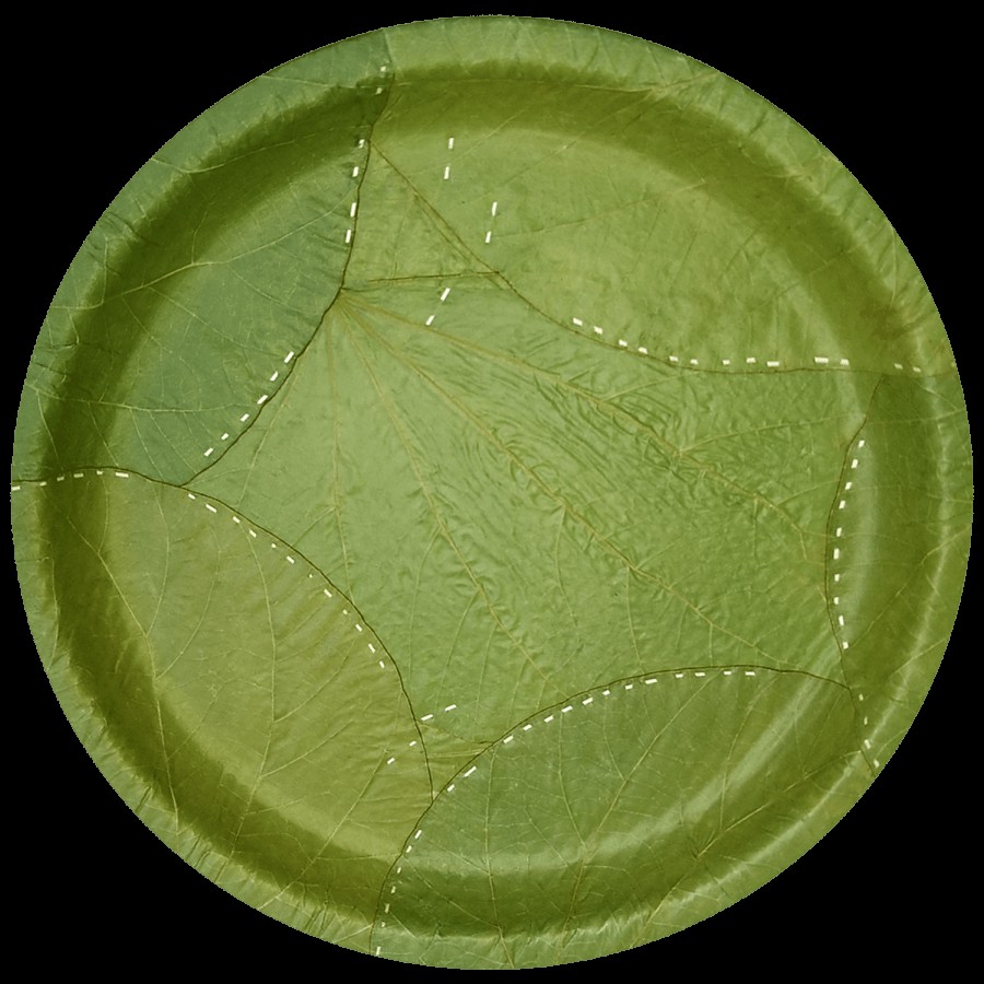 bb home Earth Natural Disposable Plates - 25.4 cms