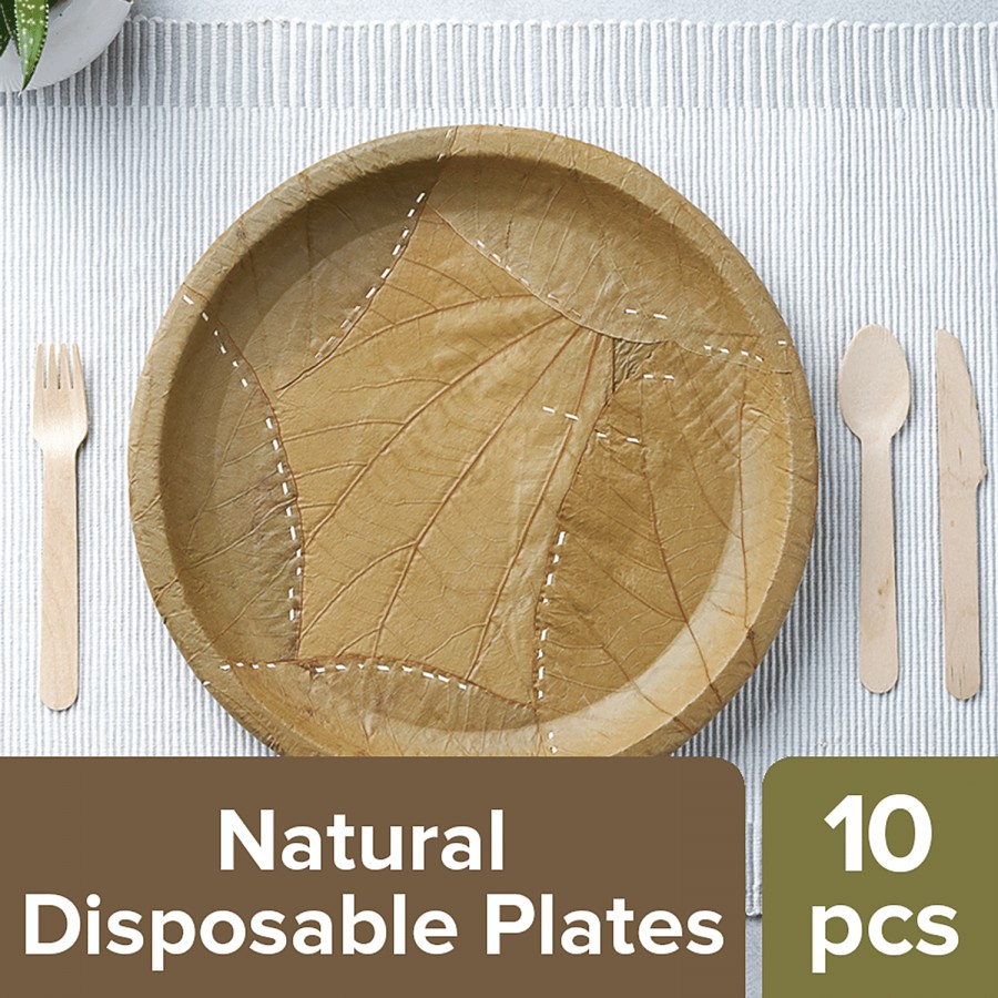 bb home Earth Natural Disposable Plates - 25.4 cms