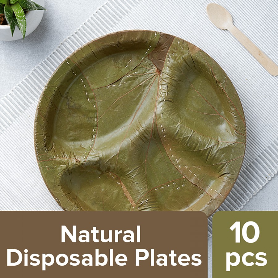 bb home Earth Natural Disposable Plates - 28.5 cms