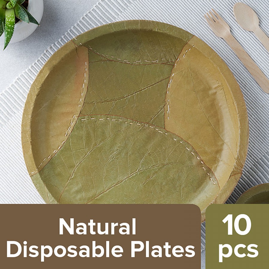 bb home Earth Natural Disposable Plates - 29.2 cms