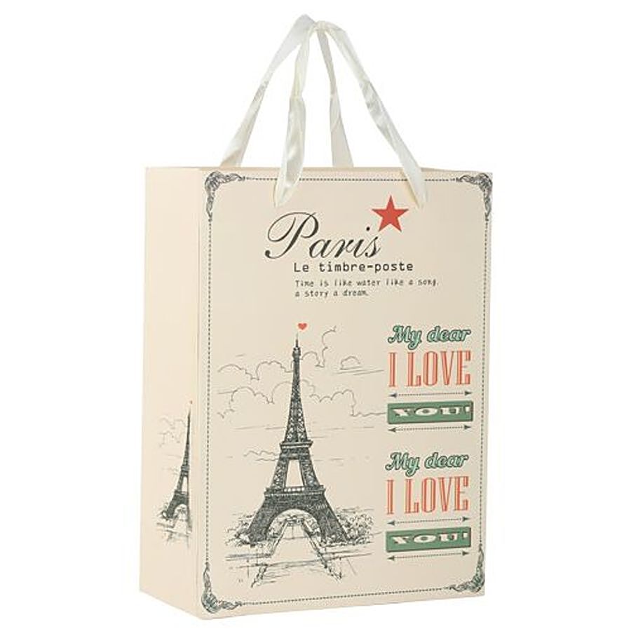 DP Gift/Paper Carry Bag - Small