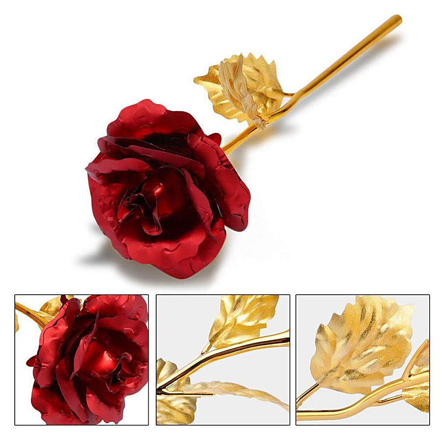 JBG Home Store Red Rose Flower Gift Box - With Golden Leaf & Stem