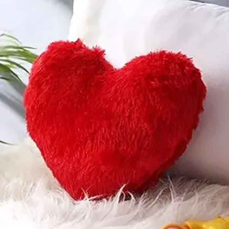 JBG Home Store Valentines Day Heart Shape Cushion Pillow - Red