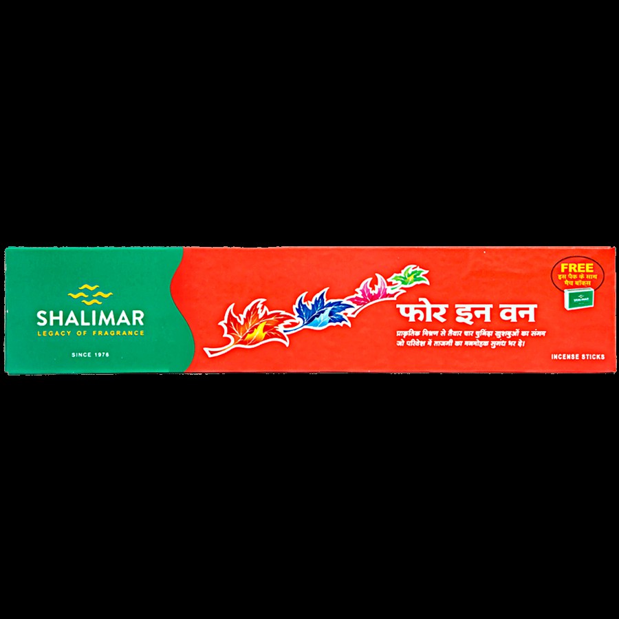 Shalimar 4-in-1 Economy Long Box - FG00024