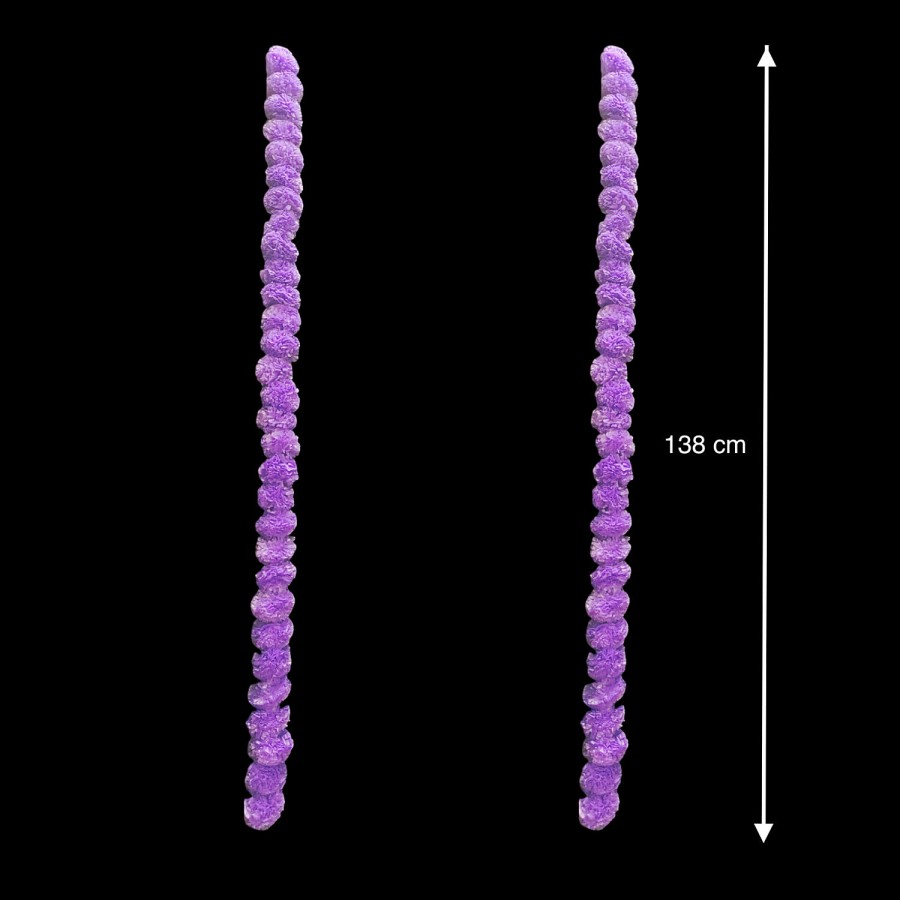House of Festivals Toran/Mala/Bandhanwar Marigold - Purple Flowers